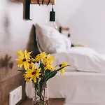 Guest house Fata Birtok 3*