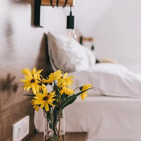 Gæstehus Fata Birtok 3*